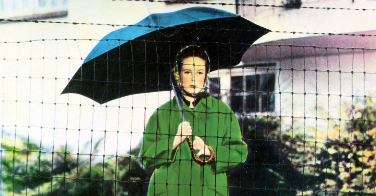 QUEL FREDDO GIORNO NEL PARCO