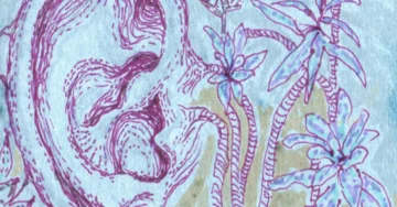 SONODRAMMA | OTOPÌE