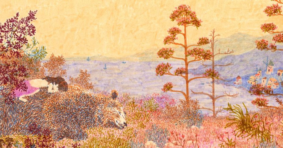 LA BAMBINA E L’ORSA