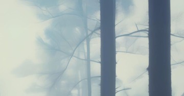 ALLA CORTE DEI RE DI FRANCIA. MUSICHE PER VERSAILLES