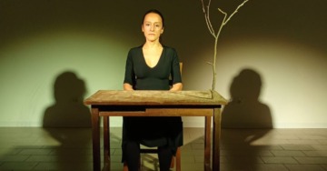 L’ALBERO DEI BOTTONI