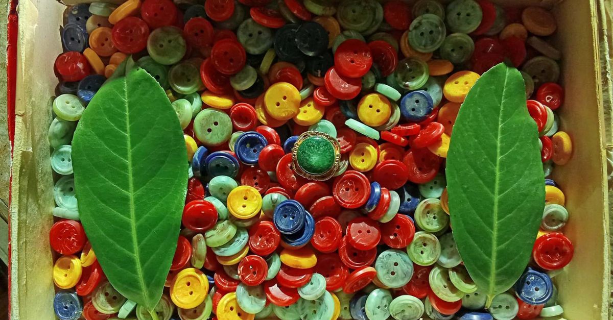 L’ALBERO DEI BOTTONI