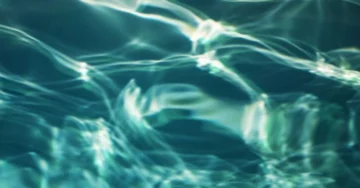 La forma dell’acqua