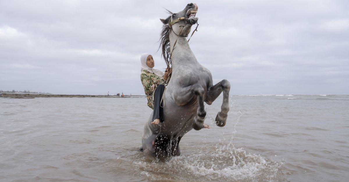 World Press Photo 2026