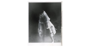 IL VOLO DELL’OCA SELVATICA