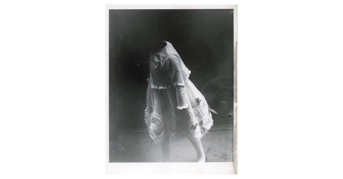 IL VOLO DELL’OCA SELVATICA