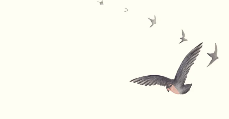 Entrature > libere