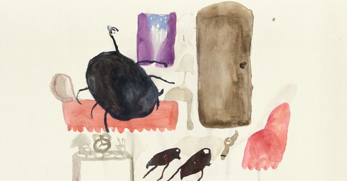 La metamorfosi, il piccolo terrario