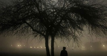 Noir