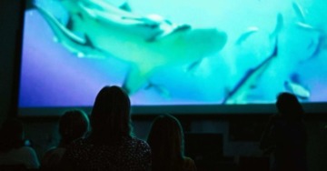 Pianeta Mare Film Lab