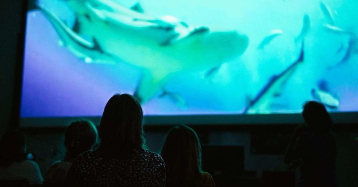 Pianeta Mare Film Lab